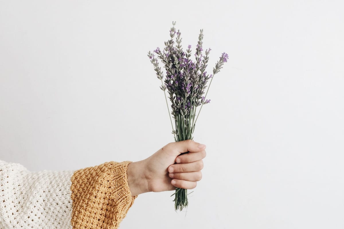 còn gặp lại mà Feature Image