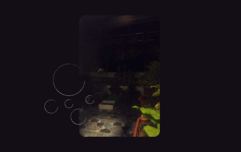 Mình thích đêm Feature Image