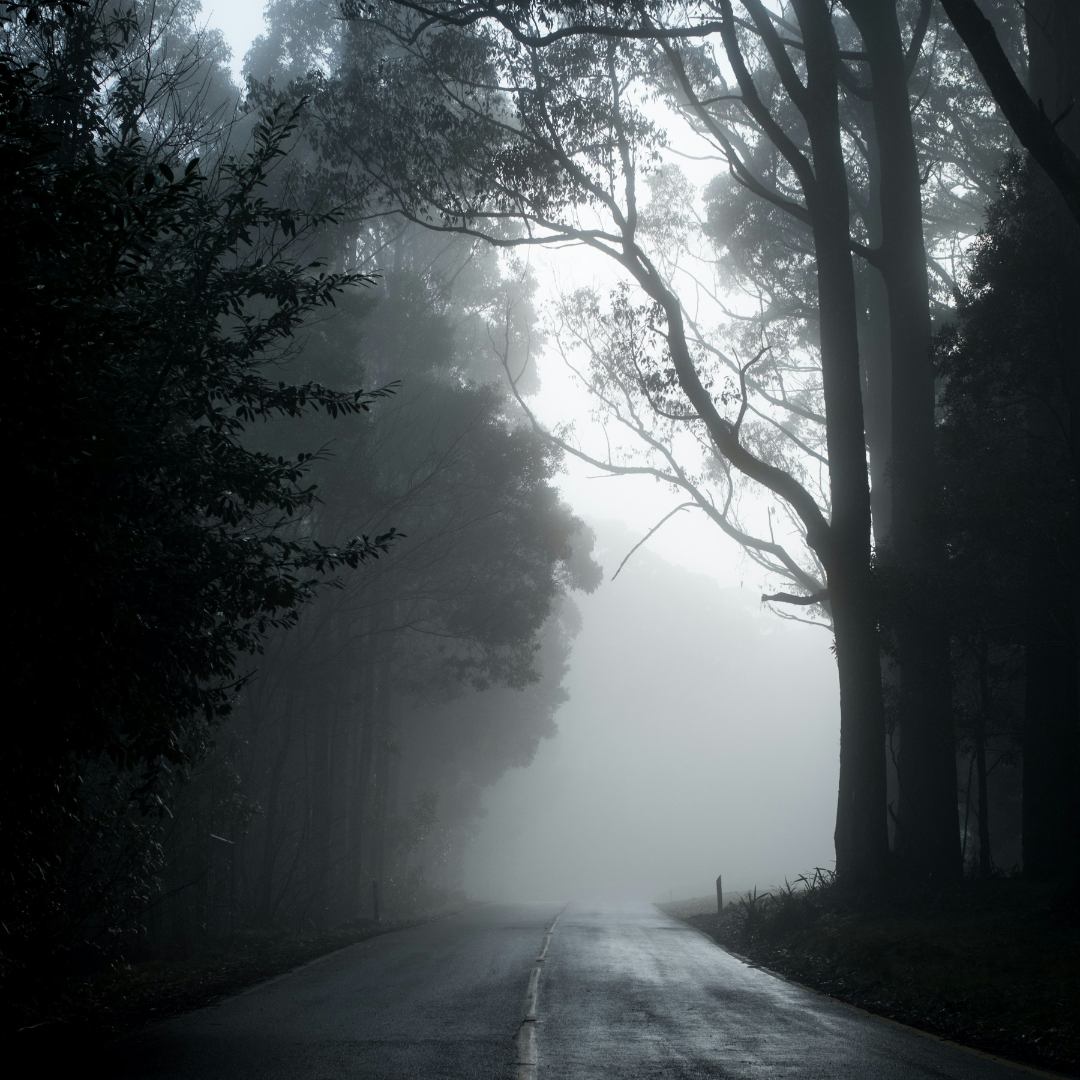 Bạn muốn một tang lễ trông như thế nào? Feature Image