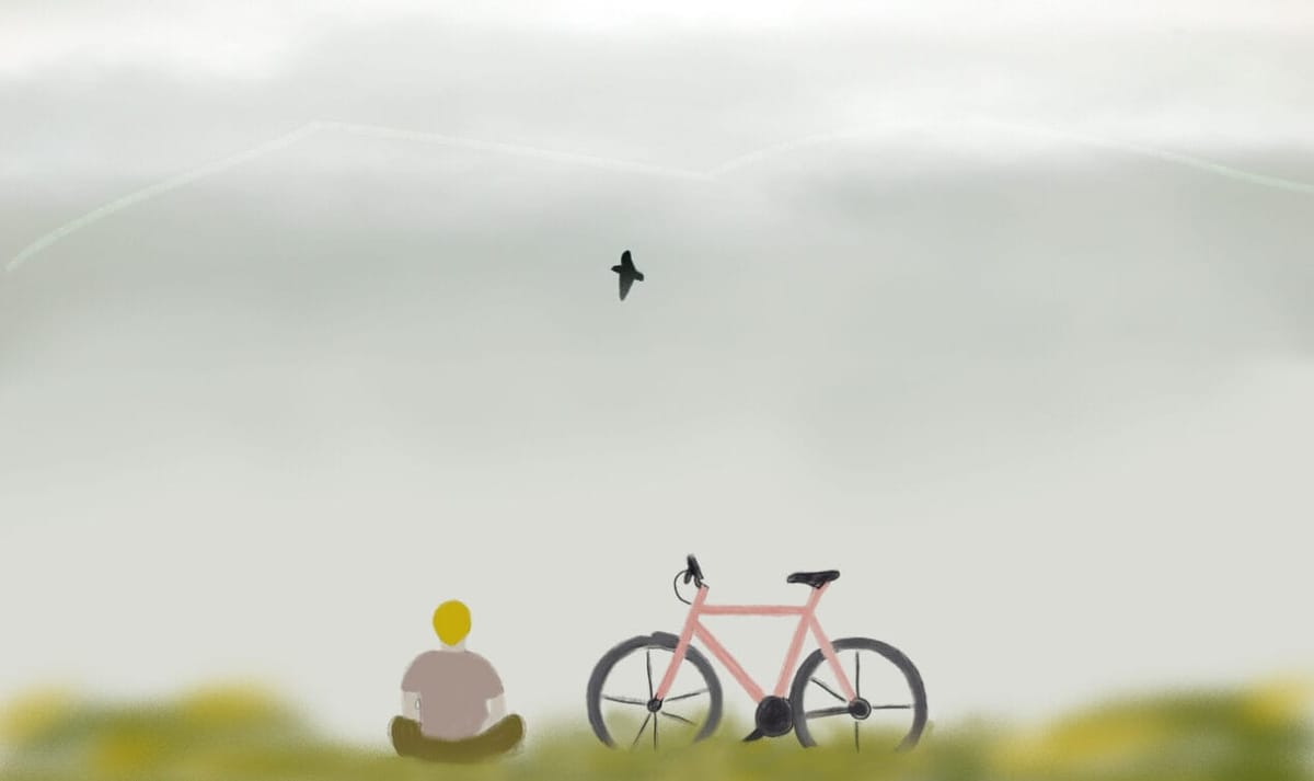 Hiện diện trong vùng xám Feature Image