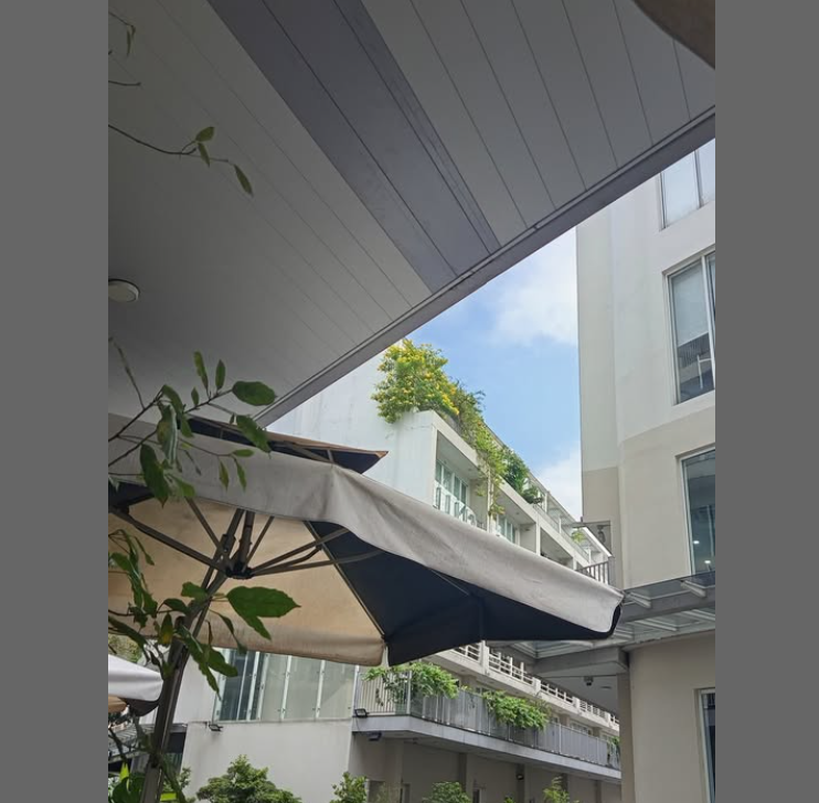 cánh gió Feature Image