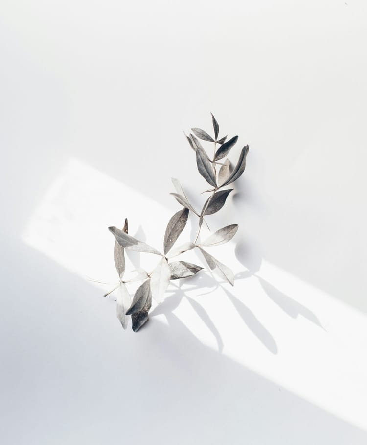 Chắc bàng còn đợi Feature Image