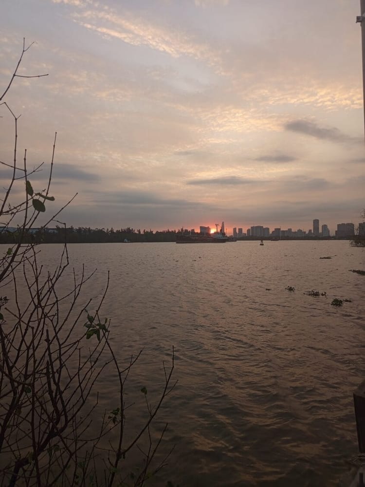 thành phố 6 Feature Image